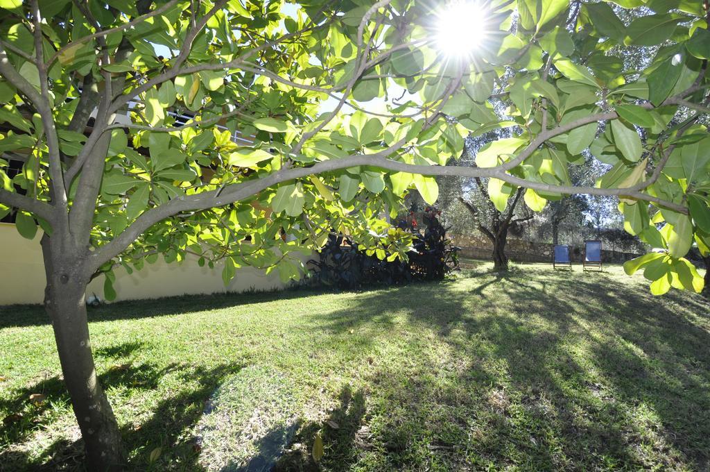 Afión Magdalini Apartments מראה חיצוני תמונה